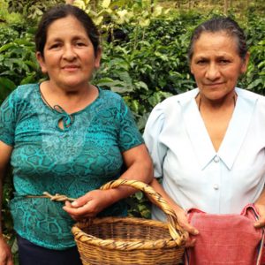 organic Peruvian coffee