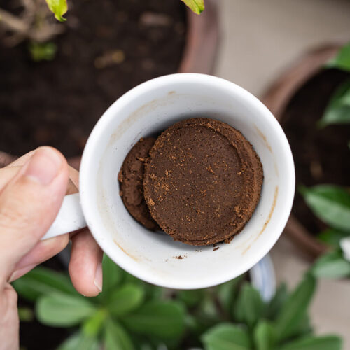 recycled coffee grounds