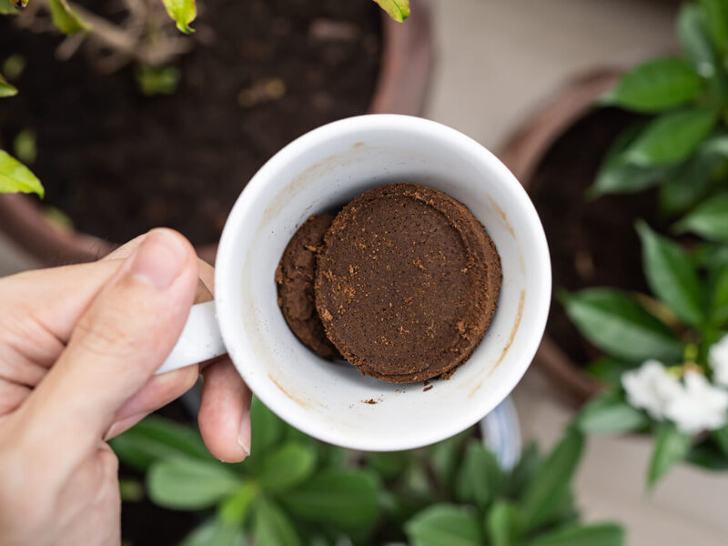 recycled coffee grounds