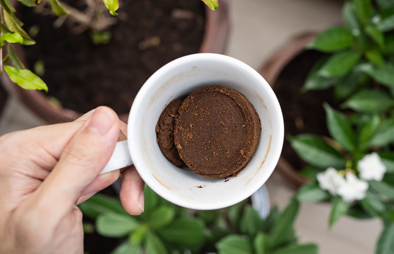 recycled coffee grounds