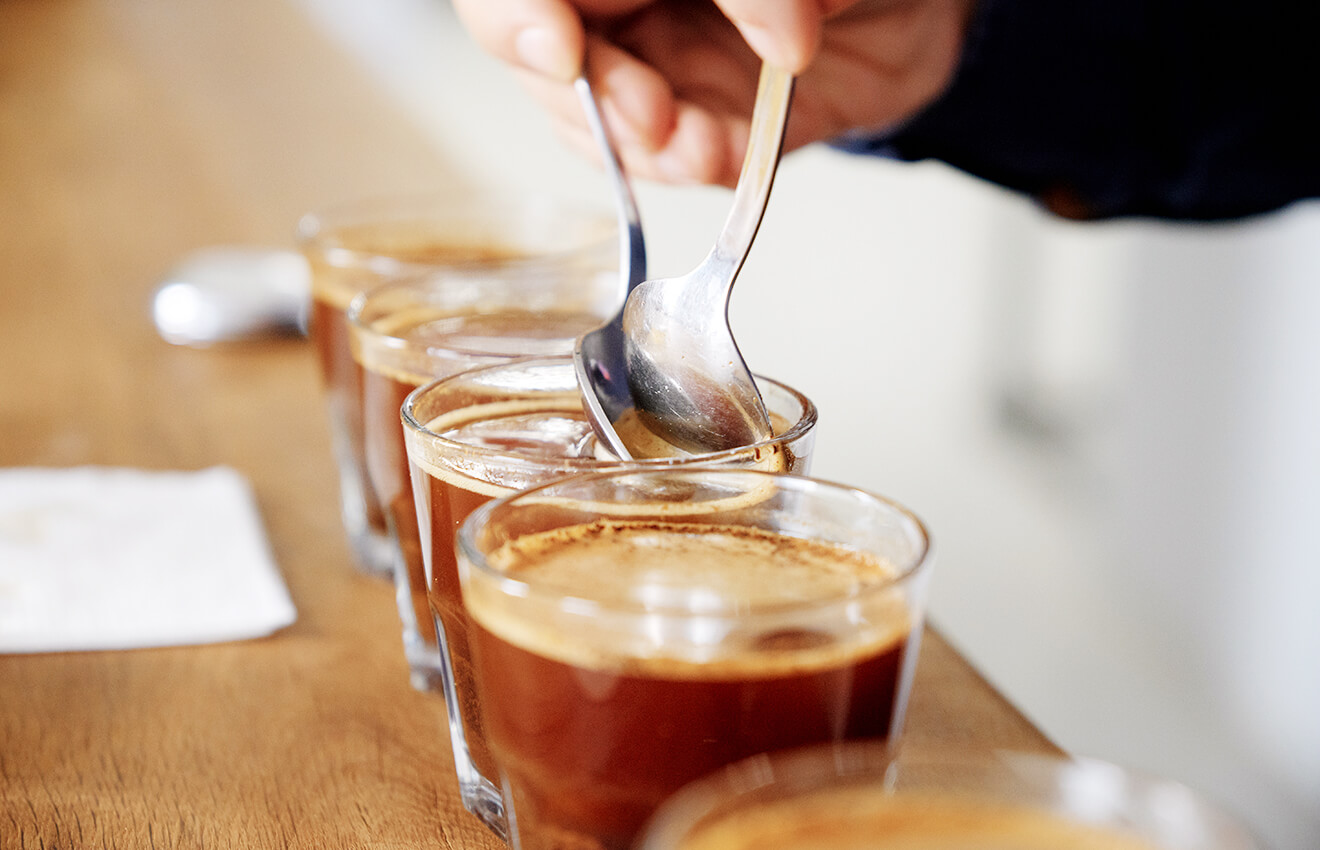 coffee cupping