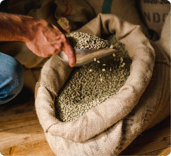 green coffee beans