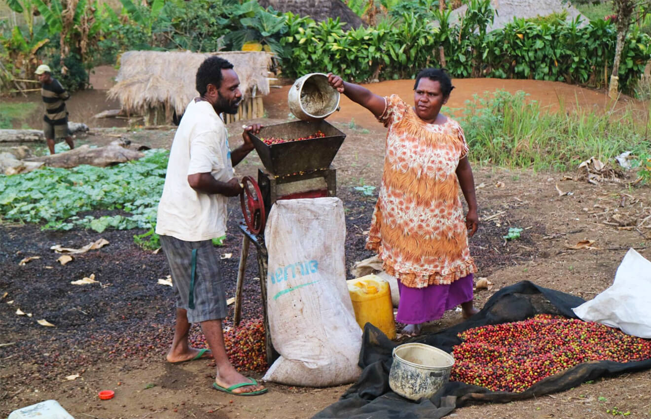 Papua New Guinea coffee