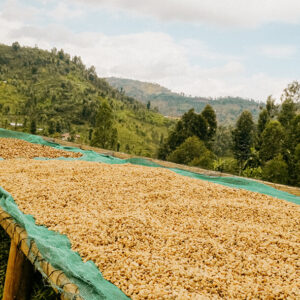 Rwandan coffee