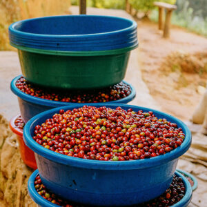 Rwandan coffee