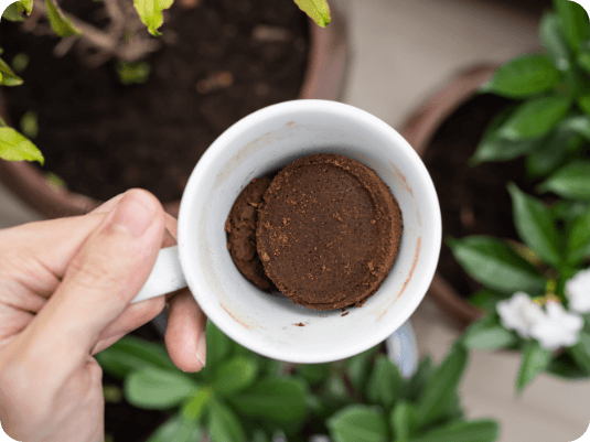 Recycled coffee grounds
