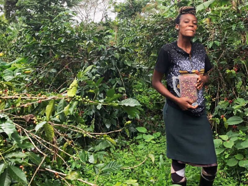Tanzanian coffee