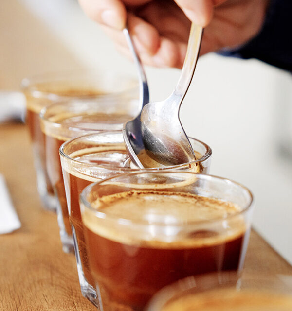 coffee tasting sessions